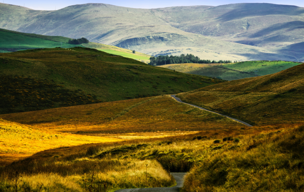 DMC Wales
