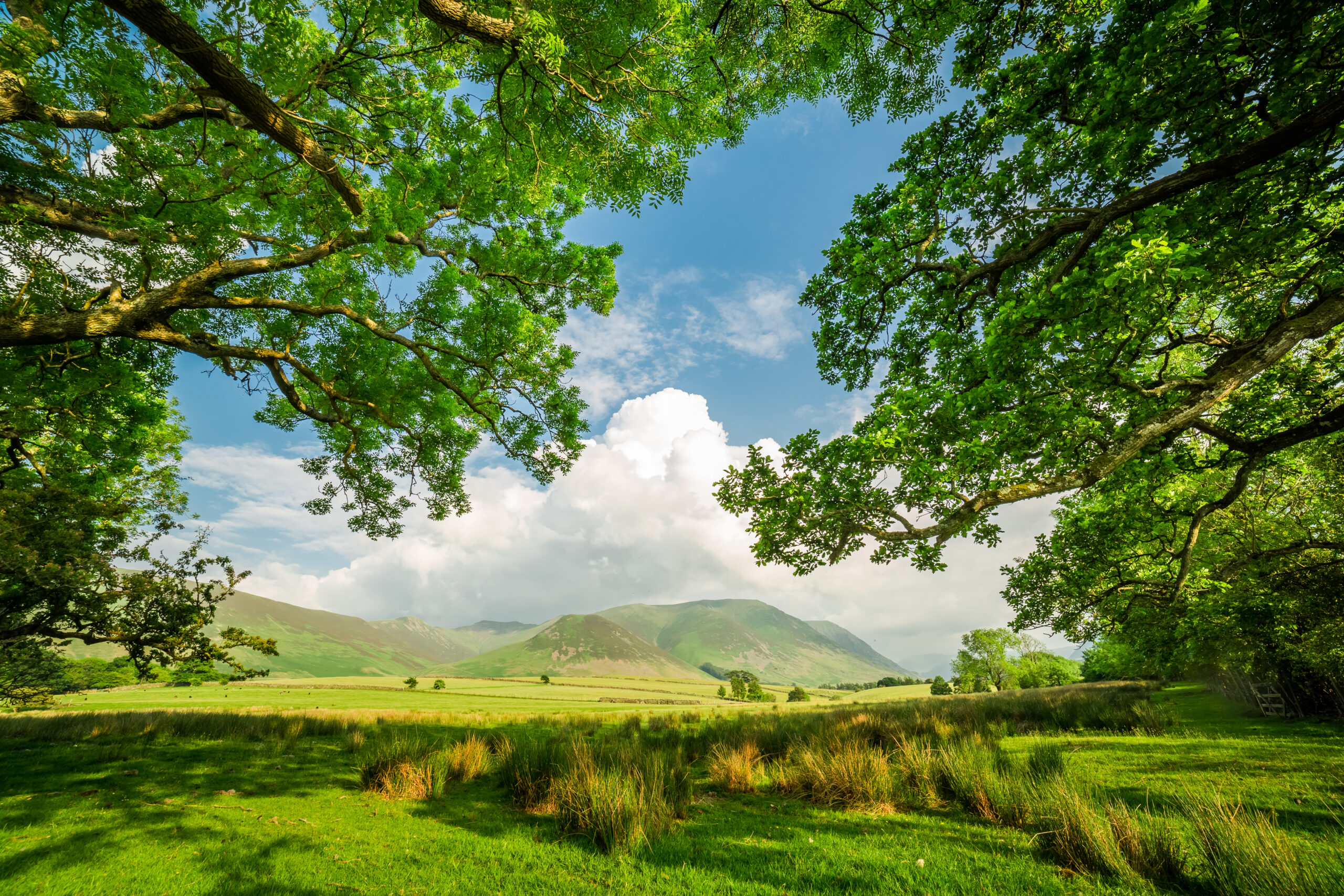 countryside