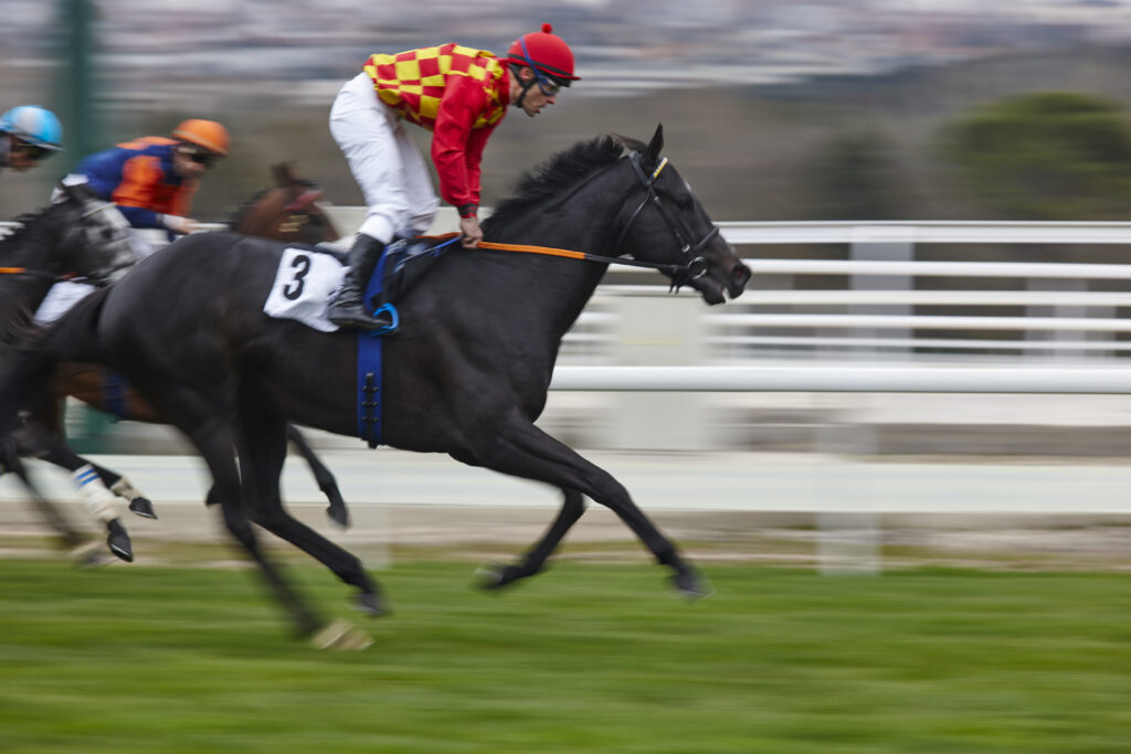 royal ascot